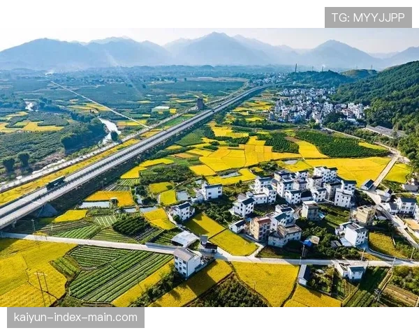 城乡资源双向流动加速 城市资本与乡村生态互补共赢